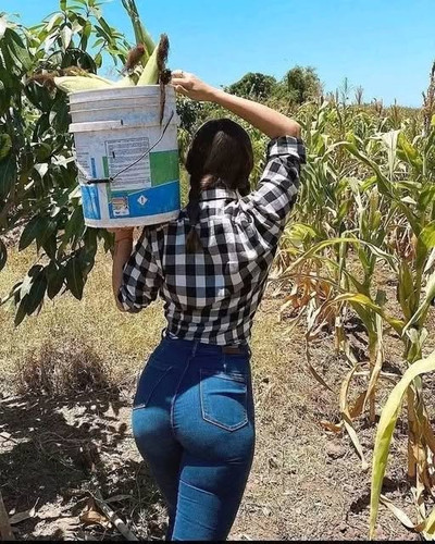 506213959 640118552401953 3547585284936725225 n.jpg