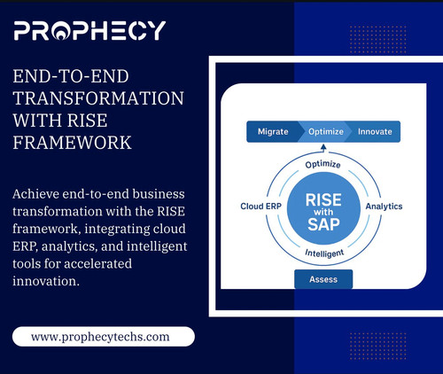 Rise Framework.jpg