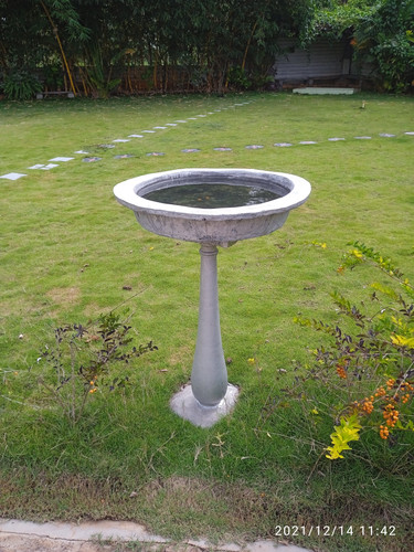 IMG 20211214 114259 1.jpg