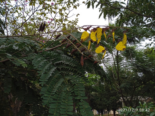 IMG 20211201 084256 1.jpg