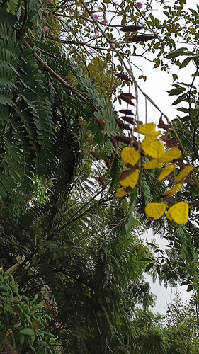 IMG 20211201 084157.jpg