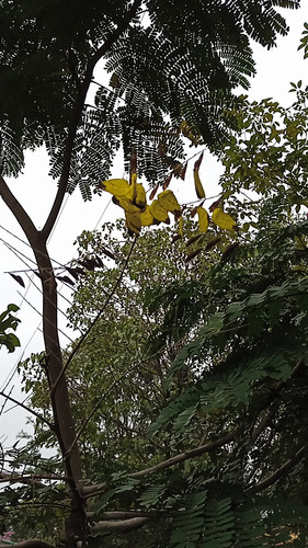 IMG 20211201 084137.jpg