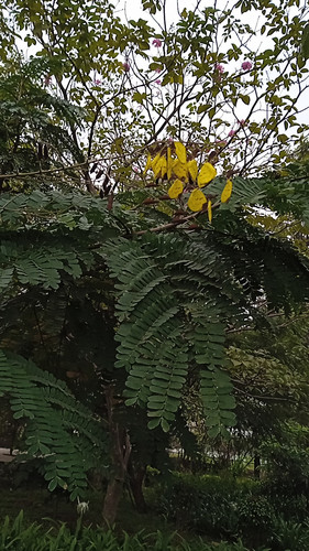 IMG 20211201 084142.jpg