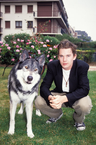 73PVK2JH3BGZNPS4H52IPDPB5E