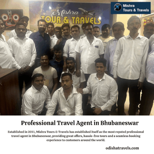 professional travel agent in Bhubaneswar.gif