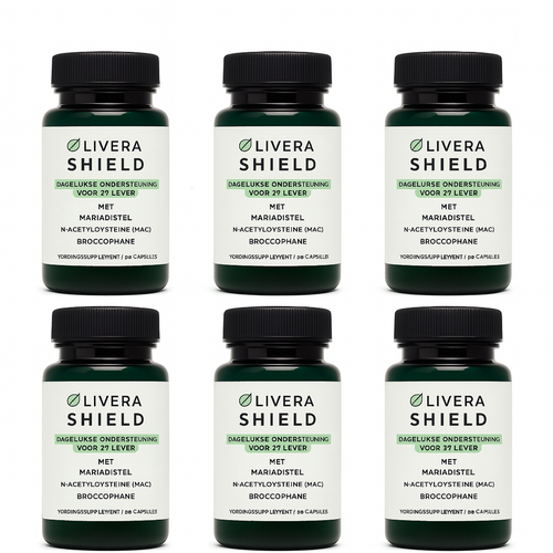 ChatGPT Image Jul 23, 2025, 10 02 19 AM.png