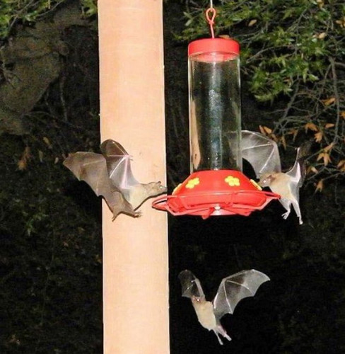 IMG 7222 2.jpg