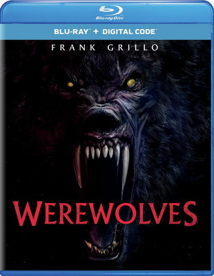 Werewolves (2024) .mkv iTA/ENG Bluray 1080p x264 CYBER