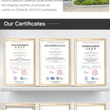 12 H5e164941556643ad84f9765225087ad70