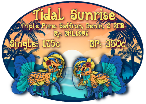 tidal sunrise.png