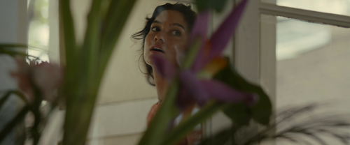 vlcsnap 2025 07 23 14h35m22s304