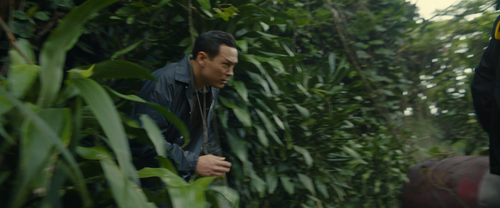 vlcsnap 2025 07 23 14h35m25s886