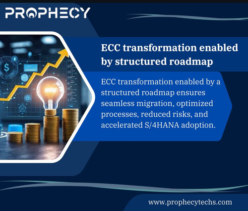 WhatsApp Image 2025 07 23 at 4.40.40 PM.jpg