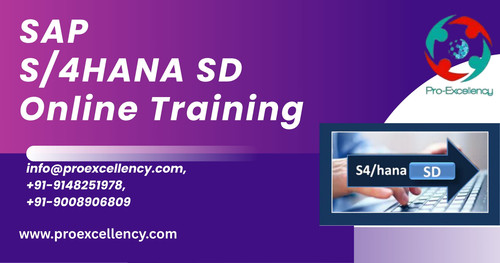 SAP S/4HANA SD Tools & Transactions for Beginners.jpg