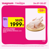 Magnum 1620x1620 1 tov 2025 07 23T122103.004