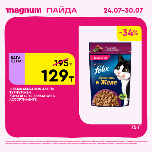 Magnum 1620x1620 1 tov 2025 07 23T122029.976.png