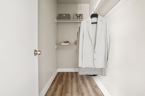 C235370 EnclaveAtBearCreek VS Stills 1B1B Closet.jpg