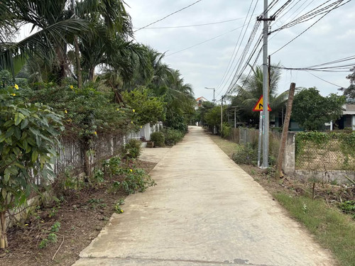 528390445 1980700469335183 1154347992251674280 n.jpg