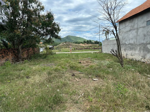 528076724 1980700462668517 1453418697119016919 n.jpg