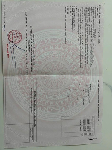 528100717 1980700316001865 3860767015981497621 n.jpg