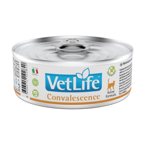 image WH 1200x1200px.jpg