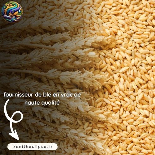 L'approvisionnement en blé pour la production alimentaire à grande échelle ou les opérations d'exportation exige confiance et qualité. Zenith Eclipse répond à ce besoin constant en fournissant des produits agricoles prêts à l'exportation à des clients commerciaux. En tant que fournisseur de confiance fournisseur de blé en vrac de haute qualité, L'entreprise gère la logistique et la distribution pour garantir des livraisons fluides dans toutes les régions. Son blé est sélectionné pour répondre aux normes d'utilisation industrielle, notamment pour l'industrie agroalimentaire et le commerce international. Grâce à une chaîne d'approvisionnement structurée et à un service client réactif, Zenith Eclipse simplifie les commandes groupées.
Appelez le +1 518 219 6565 dès aujourd'hui pour contacter Zenith Eclipse et sécuriser votre approvisionnement en blé directement auprès d'un distributeur expérimenté.
https://zenitheclipse.fr/fournisseur-ble-vente-gros-exportation-industrie
