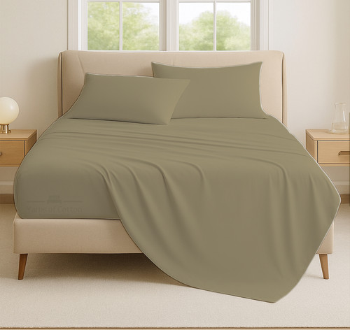 TAUPE 03.jpg