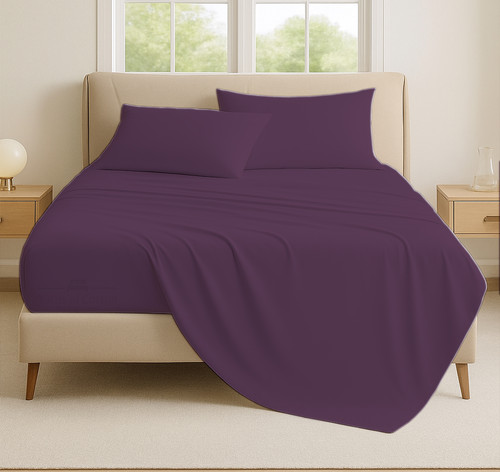 PLUM 03.jpg