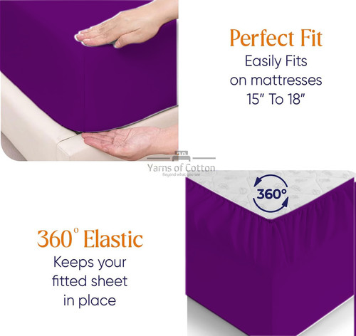 PURPLE 06.jpg