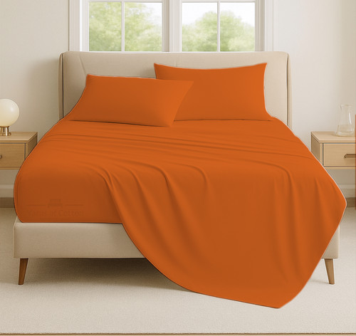 ORANGE 03.jpg