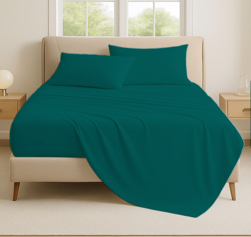 TEAL 03.jpg
