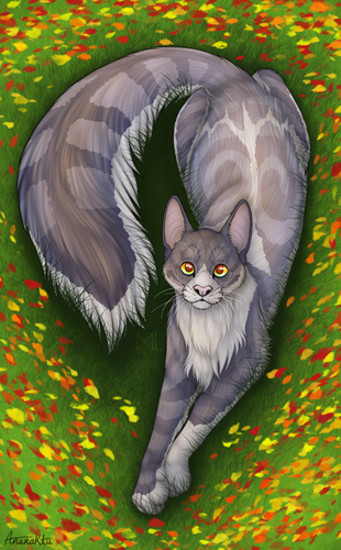 IMG 4783.png