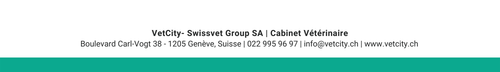 Bas de page Vetcity.png