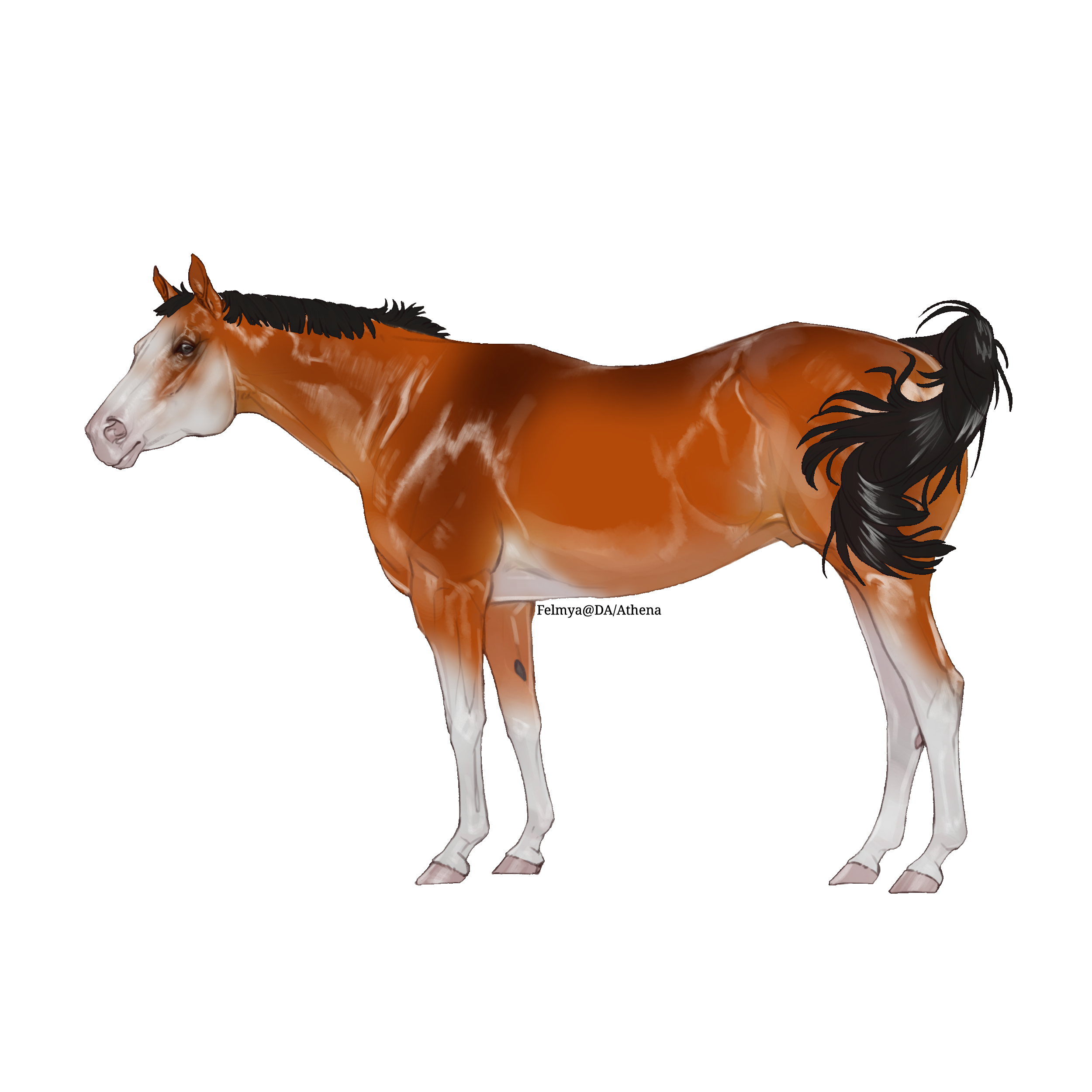 FPEF8xa.png