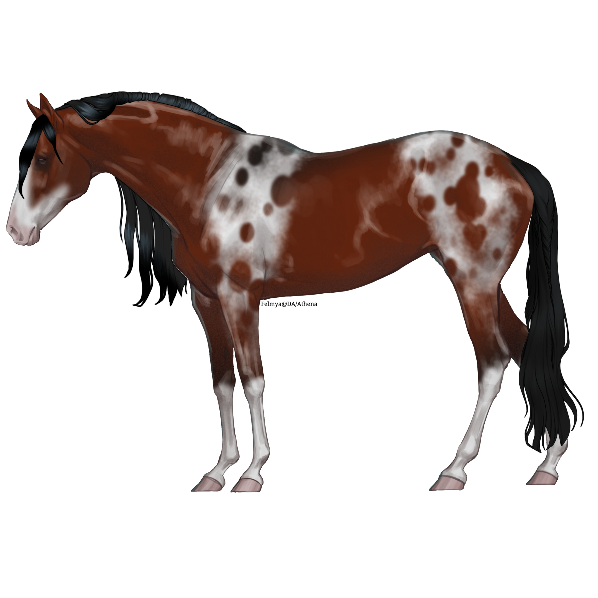 FPEKgIe.png