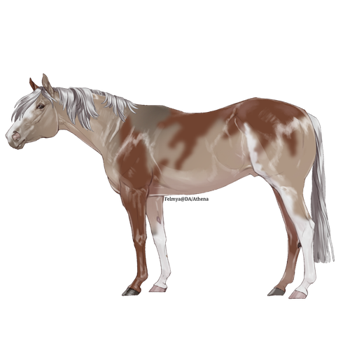 FPExPN2.md.png