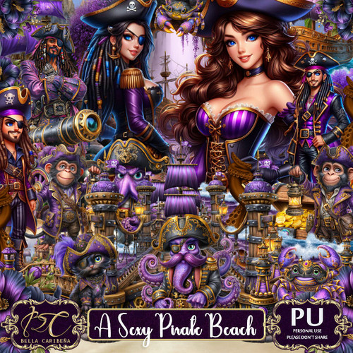 BC ASexyPirateBeach.jpg