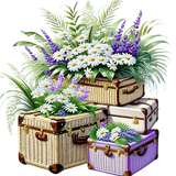 63b4efd34d96da53882323d7b9d5e9ff removebg preview.png