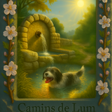 Copilot 20250706 232136