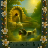 Copilot 20250706 232123