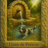 Copilot 20250706 232157