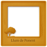 Copilot 20250706 222410