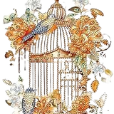 f8e6063daf972fb9e61c11512cc61dc5 copia removebg preview