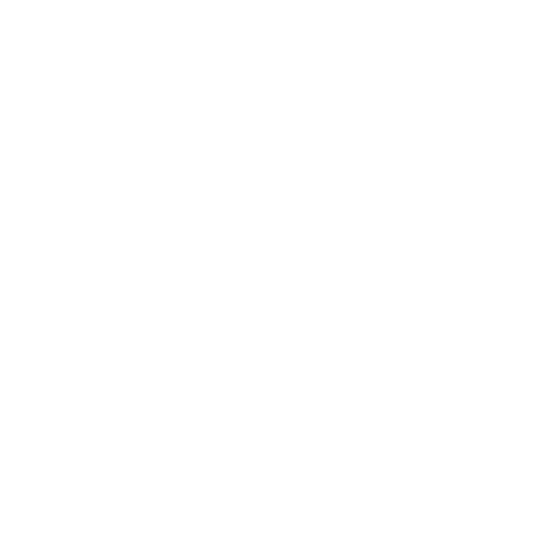 NFLUENCY WHITE ICON.png