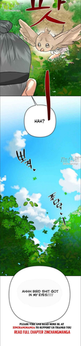 17.png