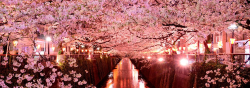 Untitled design (8).png