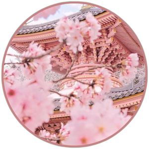 imageedit 19 6922662218.png