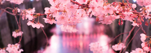 Untitled design (9).png