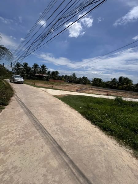 526192096 3262161350616377 4309815384482510810 n.jpg