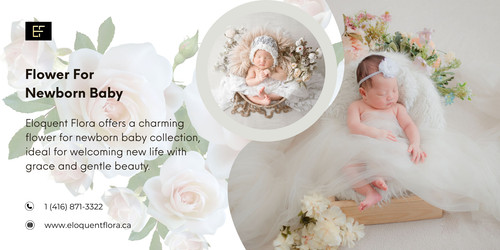 Flower for newborn baby -  Eloquent Flora.jpg